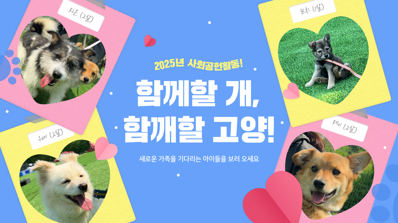 🐶2025년에도 사회공헌활동 함께할 개, 함께할 고양!🐱
