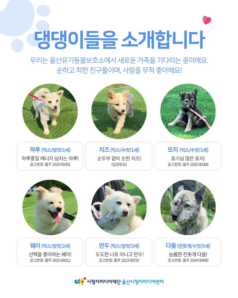 2025년 5월 사회공헌활동 5.jpg