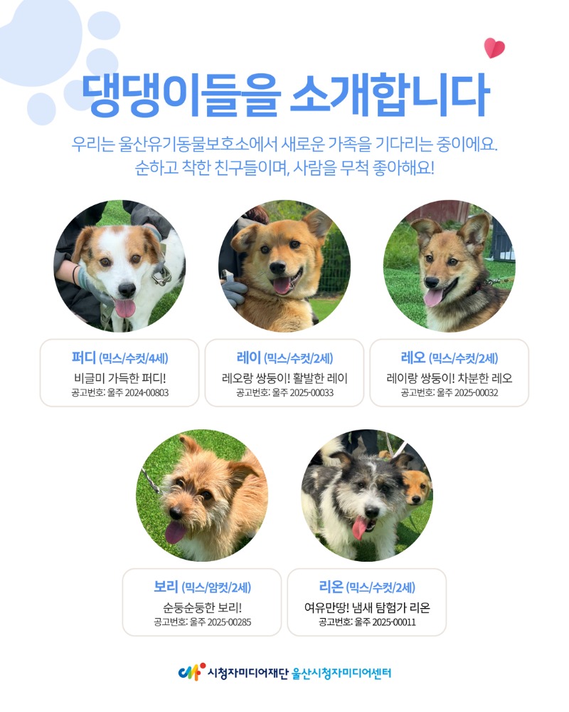 2025년 5월 사회공헌활동 6.jpg