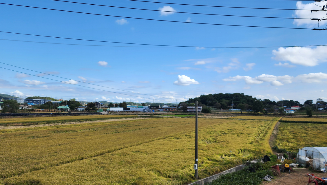 뉴스레터 강화도미디어교육